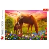 TREFL Palapeli 500 - Horses in the Meadow