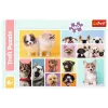 TREFL PALAPELI 160 Dog Friendship Trefl 15412