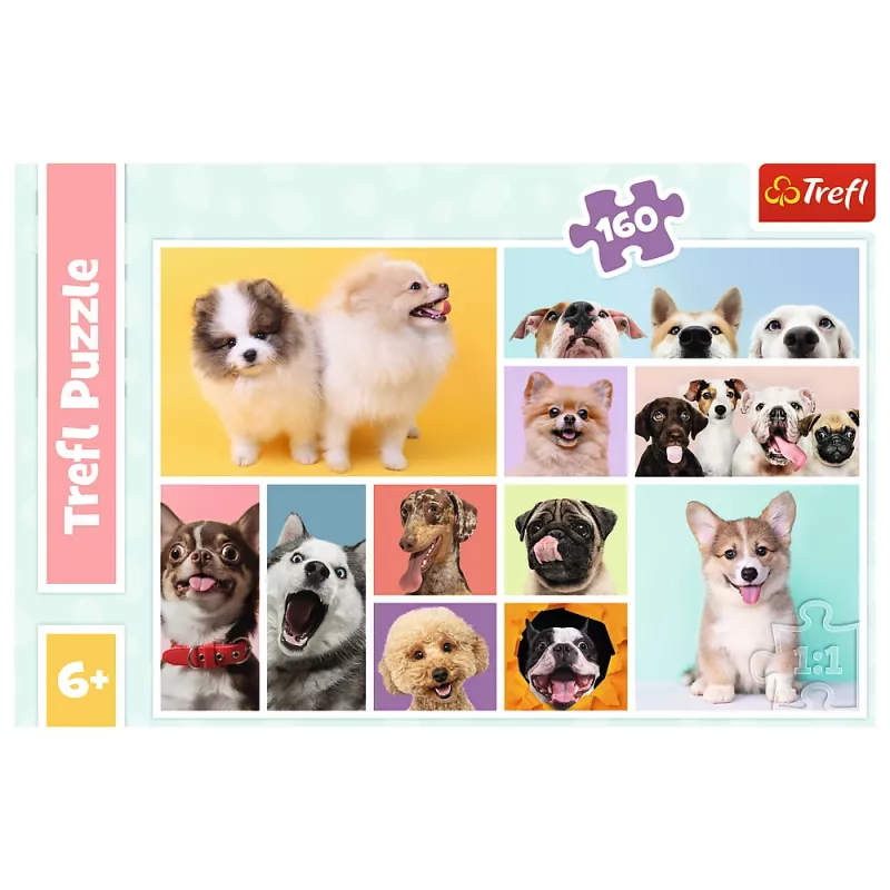 TREFL PALAPELI 160 Dog Friendship Trefl 15412