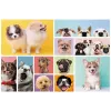 TREFL PALAPELI 160 Dog Friendship Trefl 15412