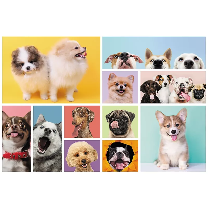 TREFL PALAPELI 160 Dog Friendship Trefl 15412
