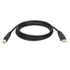 Tripp Eaton Tripp Lite Series USB 2.0 A - B -kaapeli (M/M)
