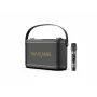 W-King H10S kannettava langaton kaiutin, 100W RMS, Bluetooth 5.0, IPX6, musta