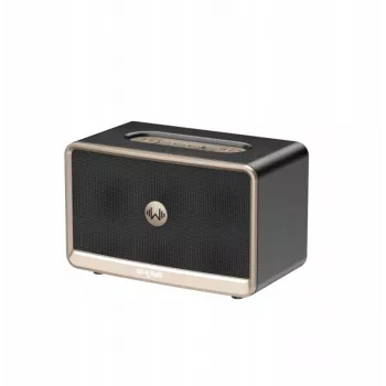 W-King H330 kannettava langaton Bluetooth-kaiutin 30W IPX6 musta
