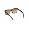 WEB EYEWEAR MAN WE0279-5652G aurinkolasit Havana vihreä 56/19/145 mm