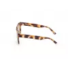 WEB EYEWEAR MAN WE0314-0041F aurinkolasit havanna asetaattikehys ruskeat liukuvärjätyt linssit 54-19-145