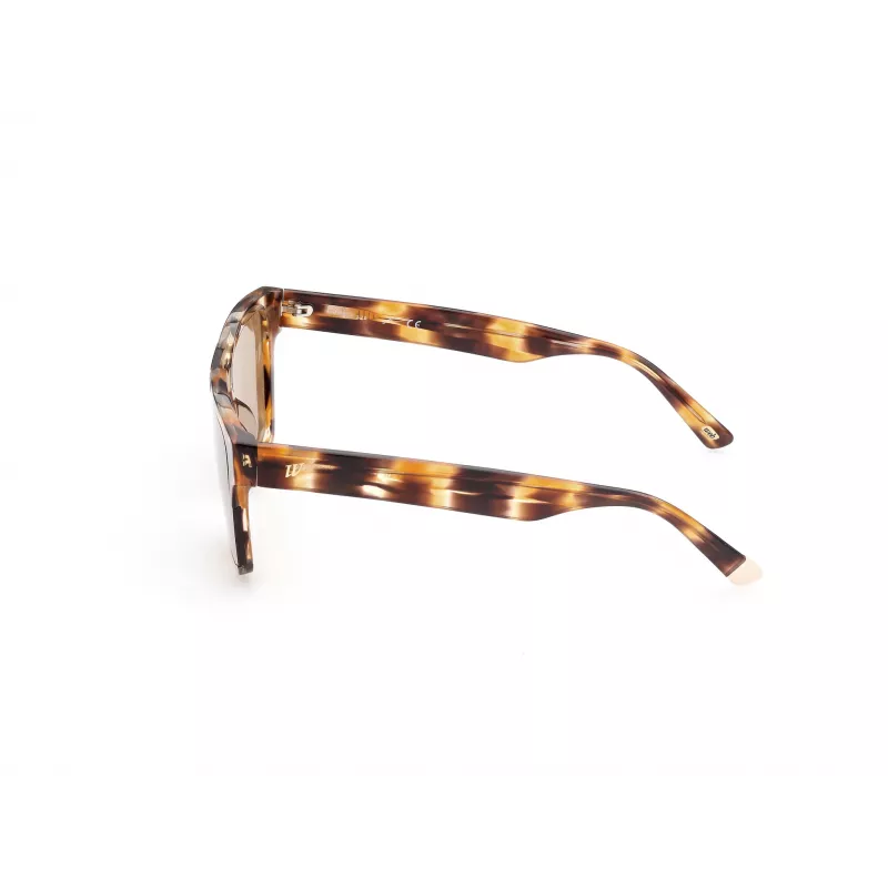 WEB EYEWEAR MAN WE0314-0041F aurinkolasit havanna asetaattikehys ruskeat liukuvärjätyt linssit 54-19-145