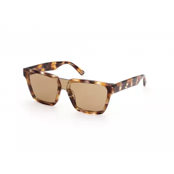 WEB EYEWEAR MAN WE0314-0041F aurinkolasit havanna asetaattikehys ruskeat liukuvärjätyt linssit 54-19-145