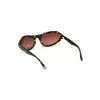 WEB EYEWEAR naisten aurinkolasit WE0288-6052F havanna harmaa liukuväri 60/18/125 mm