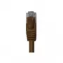 Wentronic Goobay CAT 6 litteä verkkokaapeli, U/UTP, tummanruskea, 0,5 m, kupari 95889