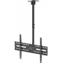 WENTRONIC Goobay TV-kattoteline XL 80175