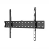 WINX MOUNT Simple TV-seinäteline, 37-70 tuumaa, enintään 40 kg